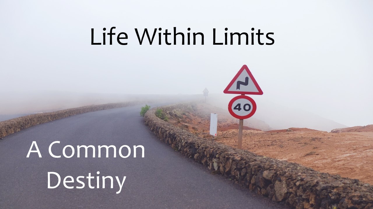 Life Within Limits - A Common Destiny